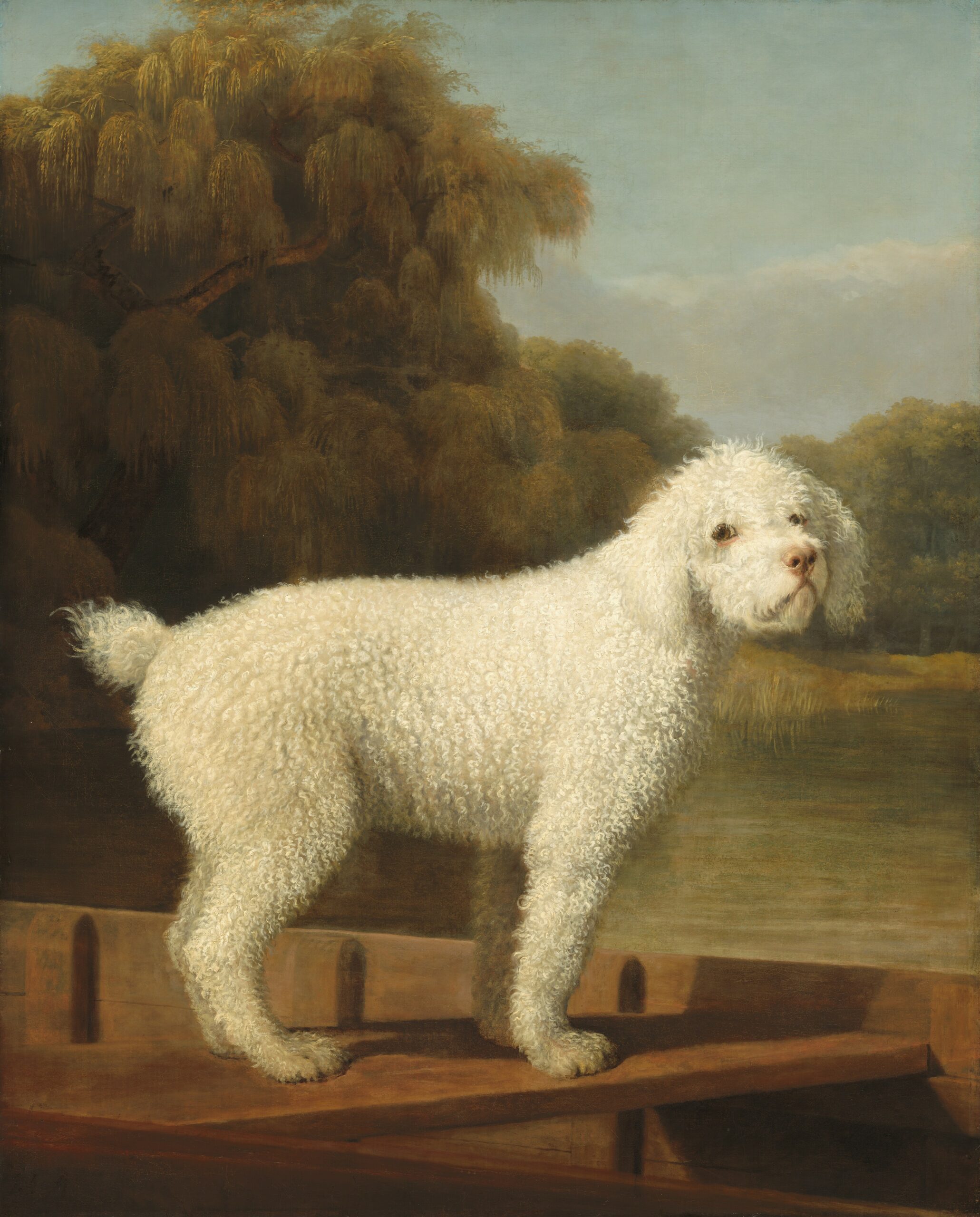 White Poodle in a Punt painting by George Stubbs c.1780